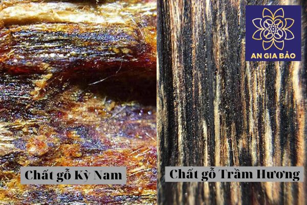 Chất gỗ của Trầm Hương và Kỳ Nam hoàn toàn khác nhau