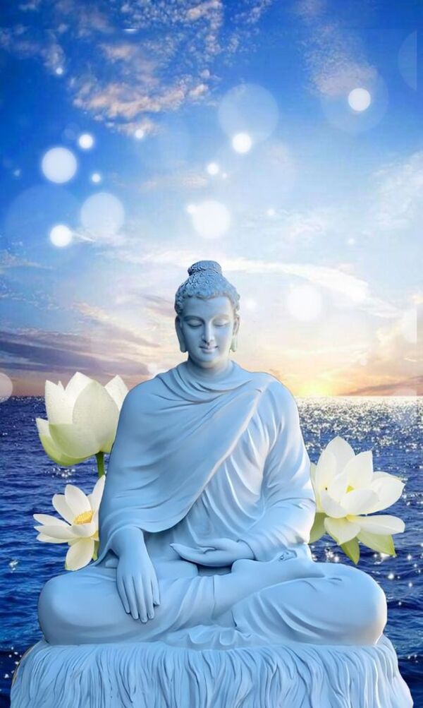 50 Hình Ảnh Hoa Sen Phật Giáo Đẹp, Ý Nghĩa Nhất
