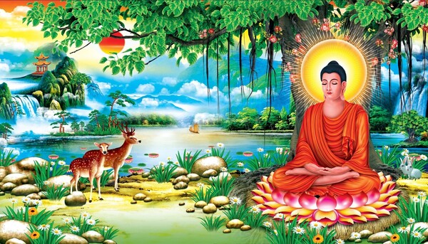 30 Hình Ảnh Lá Bồ Đề Đẹp, Tâm Phật Cho Điện Thoại, PC