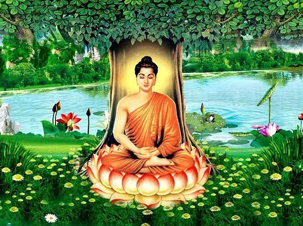 30 Hình Ảnh Lá Bồ Đề Đẹp, Tâm Phật Cho Điện Thoại, PC