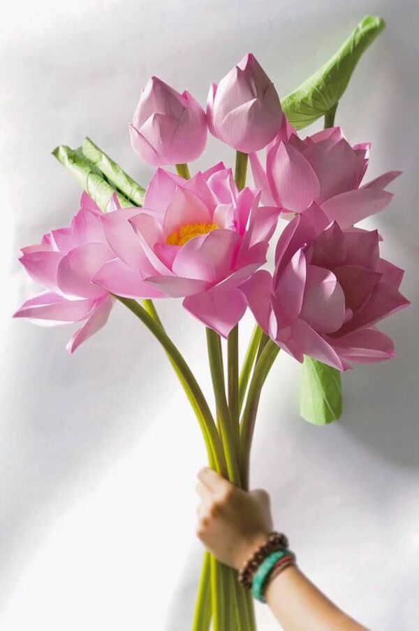 Hình ảnh hoa sen đẹp nhất, chất lượng cao cho điện thoại, PC