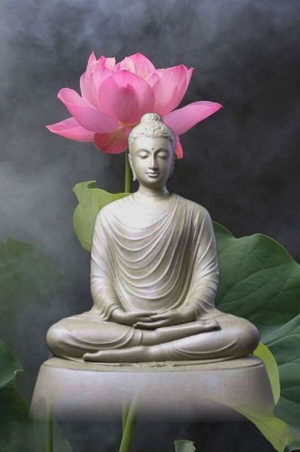 Top 101+ Hình Ảnh Hoa Sen Phật Giáo Đẹp & Ý Nghĩa Nhất